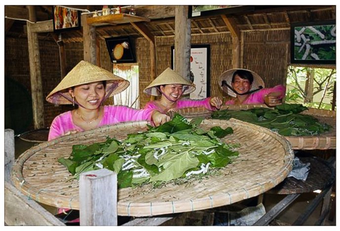 Silk Cloth Producing Process